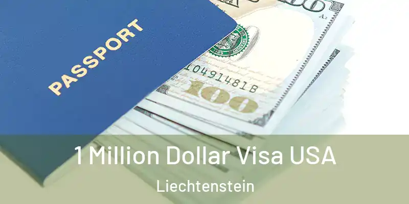  1 Million Dollar Visa USA Liechtenstein