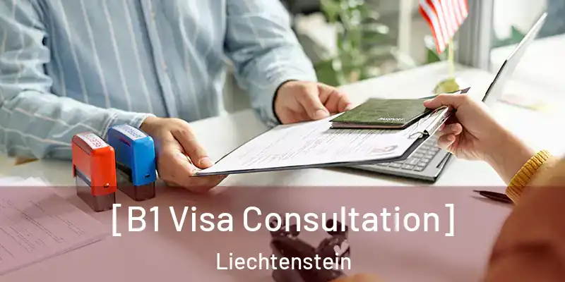 [B1 Visa Consultation] Liechtenstein